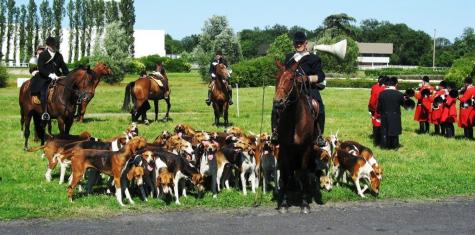 Evénement journée chasse